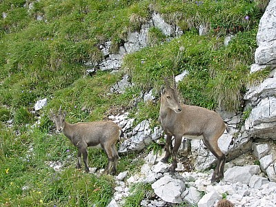 118-1887_img.jpg