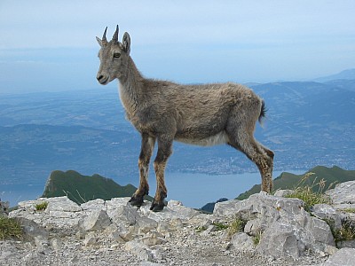 118-1892_img.jpg