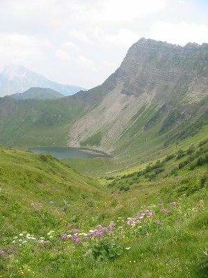 119-1904_IMG.JPG