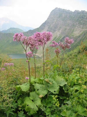 119-1905_IMG.JPG