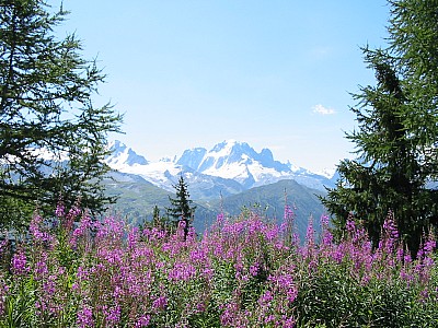 119-1932_img.jpg