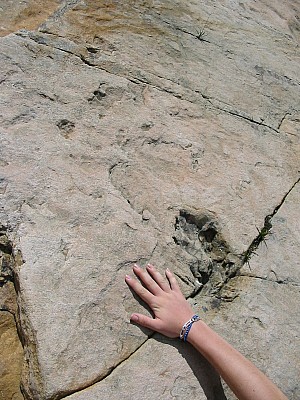 119-1936_img.jpg