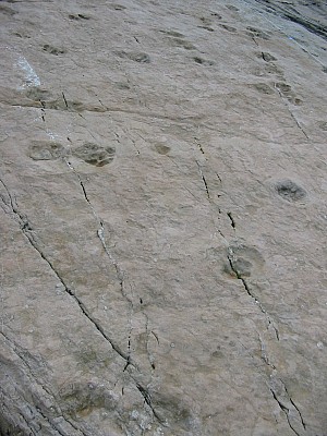 119-1937_img.jpg