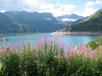 119-1949_img.jpg
