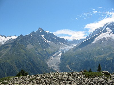 119-1965_img.jpg