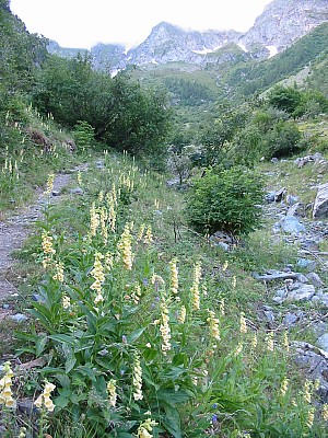 141-4126_IMG.JPG