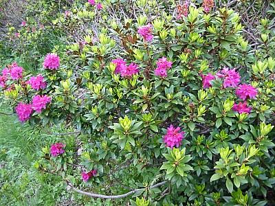 141-4128_IMG.JPG