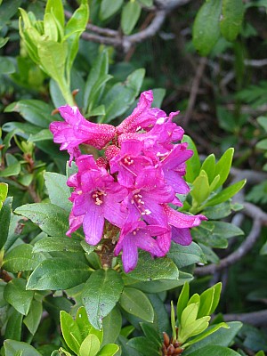 141-4130_IMG.JPG