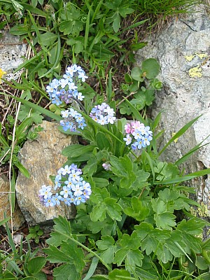 141-4145_IMG.JPG
