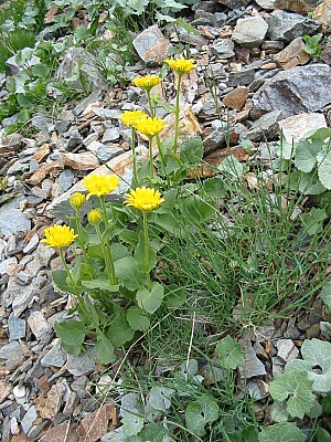 141-4147_IMG.JPG