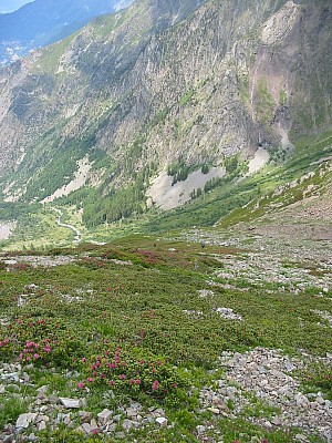 141-4159_IMG.JPG