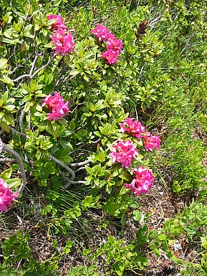 141-4160_IMG.JPG