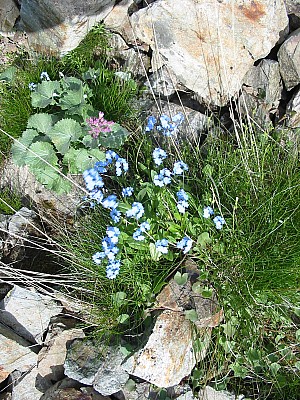 141-4167_IMG.JPG