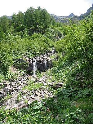 141-4170_IMG.JPG