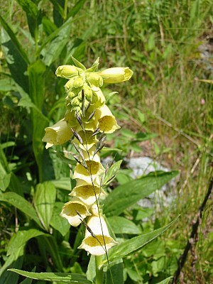 141-4178_IMG.JPG