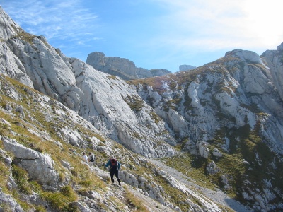 151-5199_IMG.JPG
