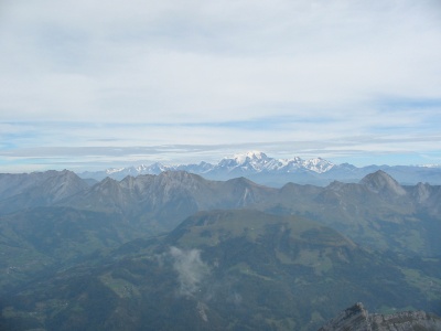152-5229_IMG.JPG