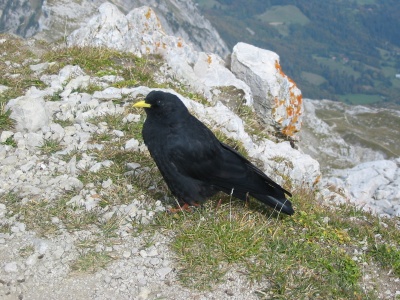 152-5265_IMG.JPG