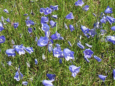img_0199.jpg