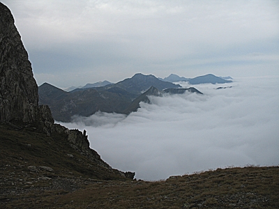 IMG_0508_1.JPG