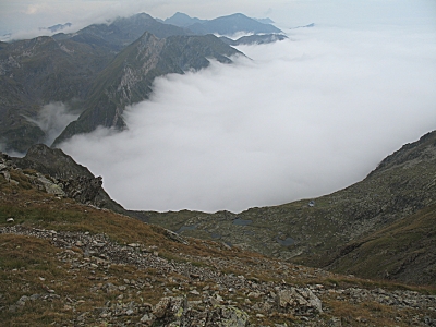 IMG_0534_1.JPG