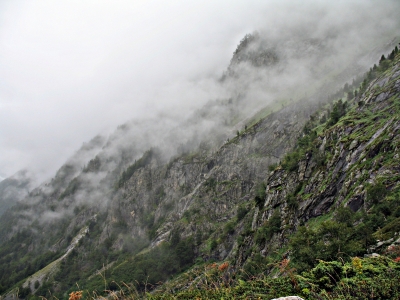 IMG_0547_1.JPG