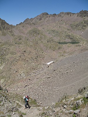 img_2882.jpg
