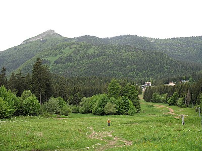 img_5772.jpg