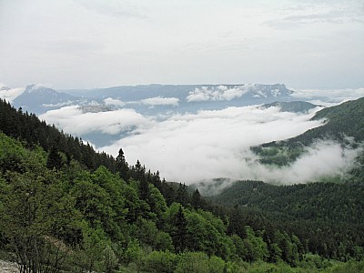 img_5780.jpg