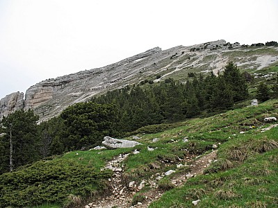 img_5784.jpg