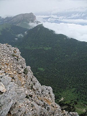 img_5790.jpg