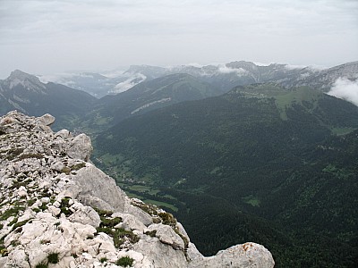 img_5806.jpg