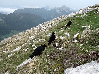 img_5812.jpg