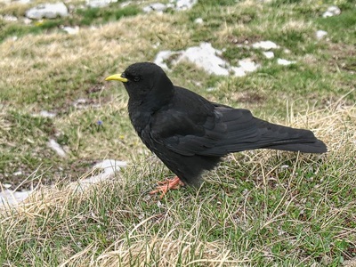 img_5814.jpg