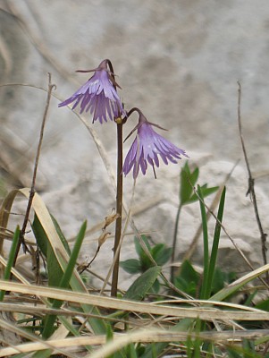 img_5827.jpg