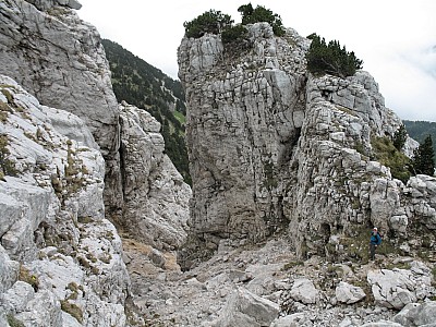 img_5828.jpg