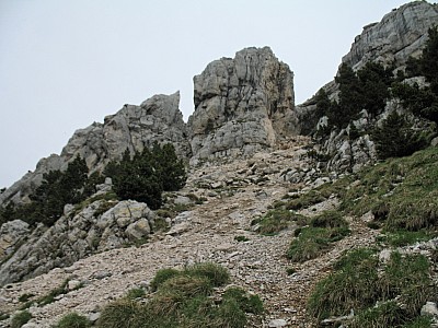 img_5829.jpg