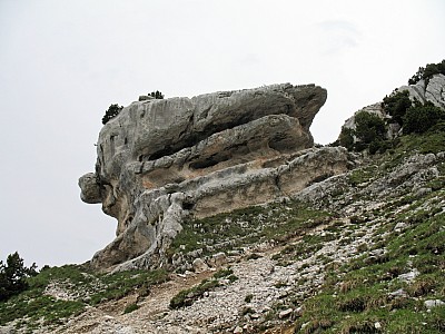 img_5831.jpg