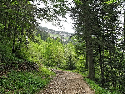 img_5843.jpg