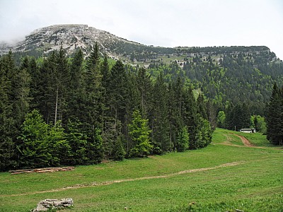 img_5849.jpg