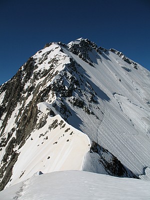 img_6415.jpg