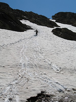 img_6590.jpg