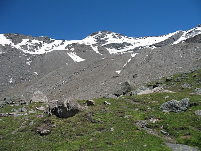 img_6816.jpg