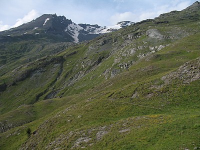 img_6817.jpg