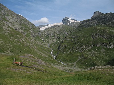 img_6818.jpg
