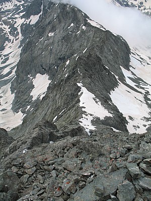 img_6825.jpg