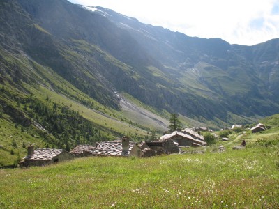 t_img_6867.jpg