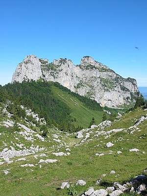 img_0709.jpg