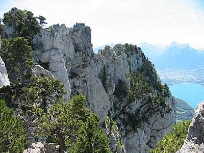 img_0724.jpg