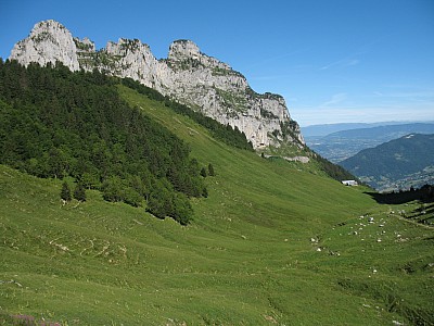 img_7123.jpg